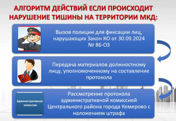 Алгоритм действий, если происходит нарушение тишины на территории МКД