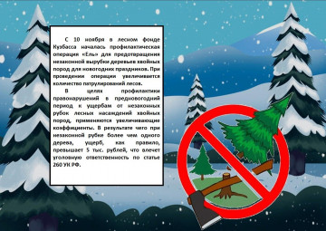 Профилактическая операция «Ель»